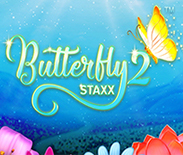 Butterfly Staxx 2